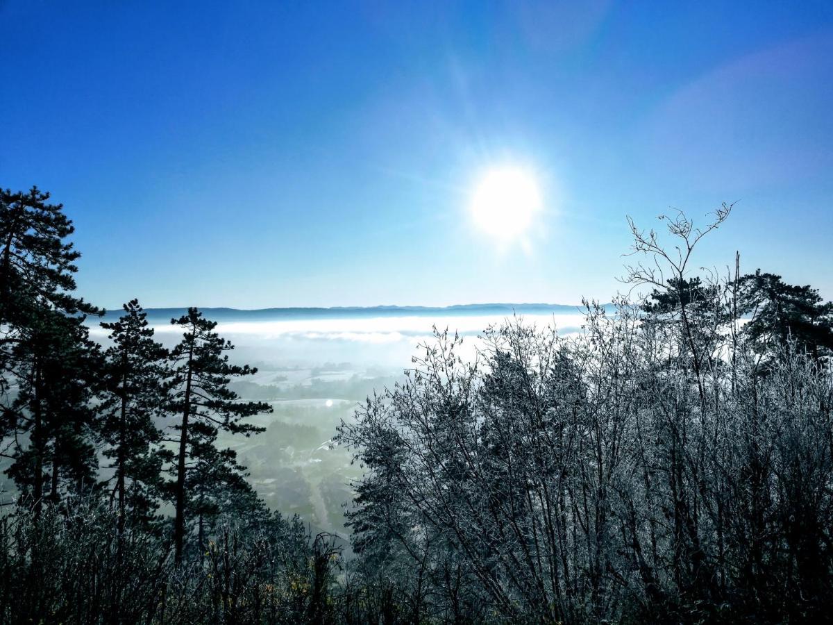 Appartement La Bernardine Au Coeur Du Jura Orgelet Esterno foto